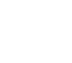 Bristol Zoo Project logo