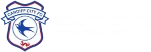 Cardiff City Stadium logo